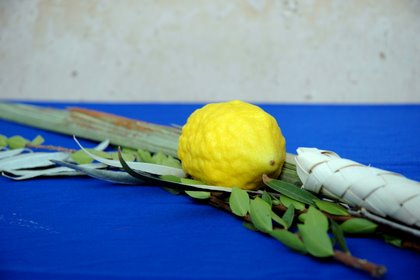 sukkot lulav etrog